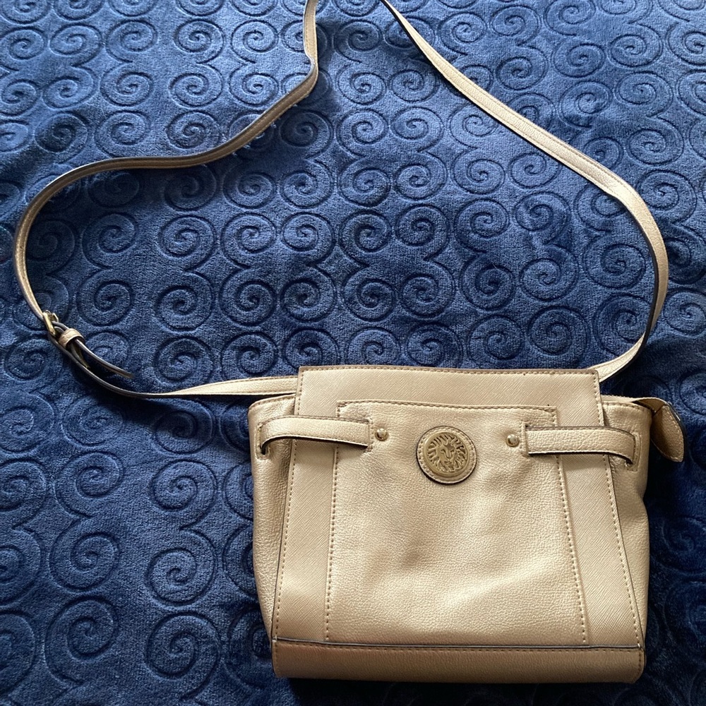 Ann Klein metallic gold crossover purse